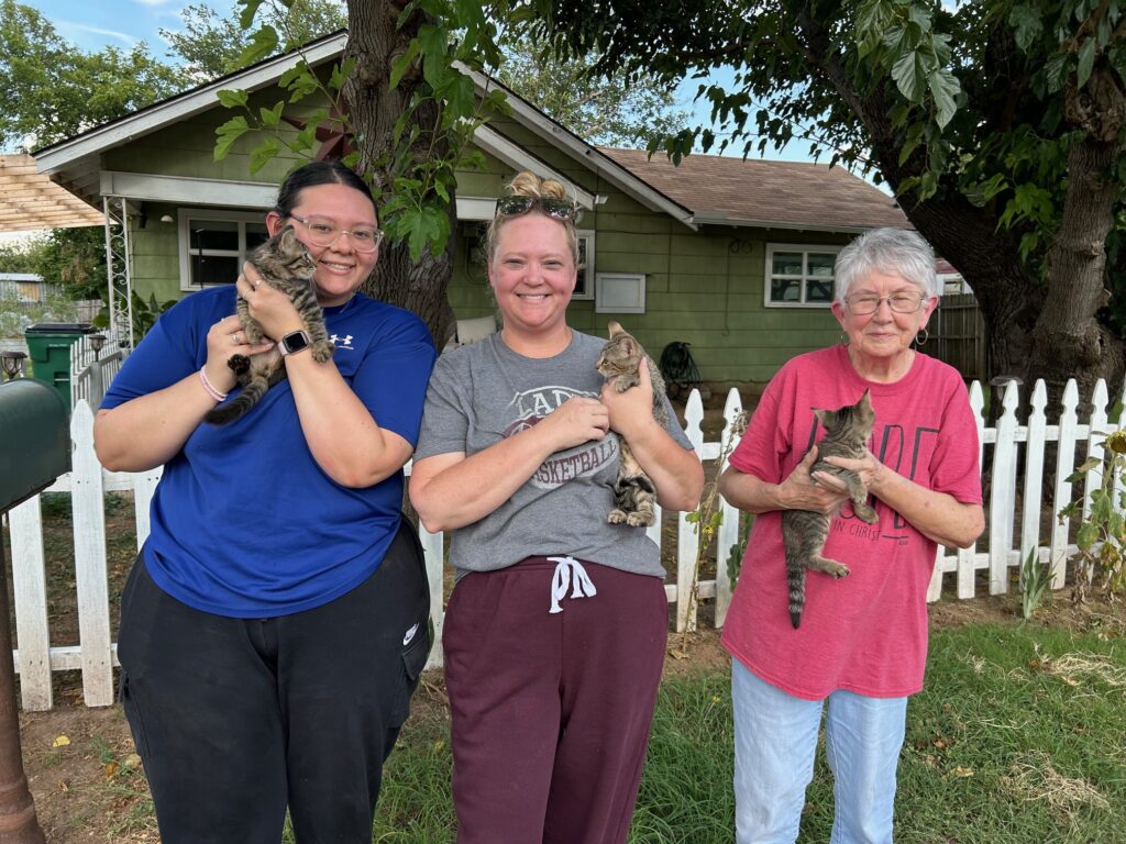 Foster kitten family seymour texas