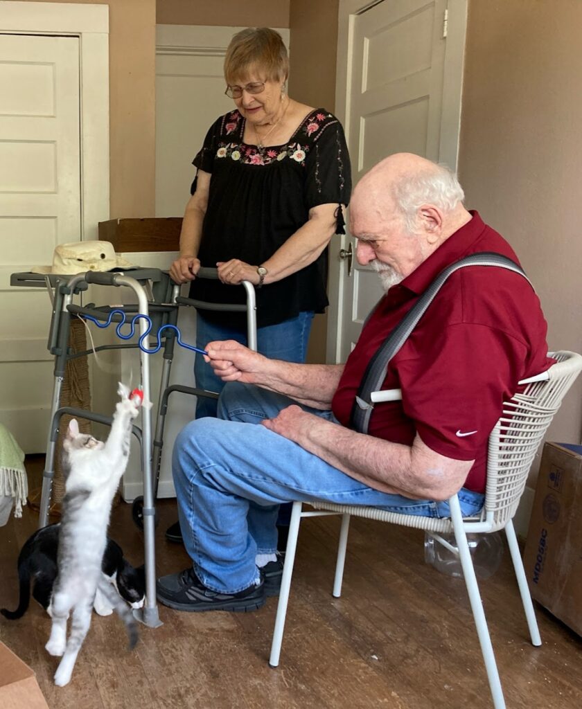 Elvis & Eddie Cayford playing with kittens